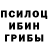 Псилоцибиновые грибы мухоморы Dormen