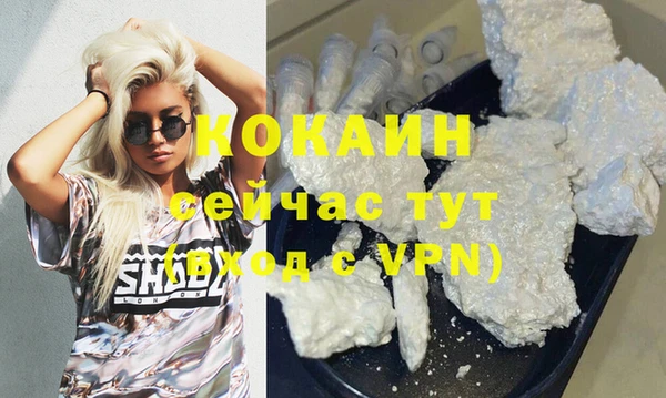шишки Няндома