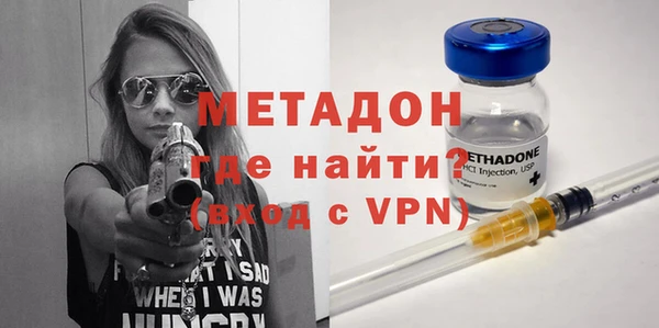 шишки Няндома