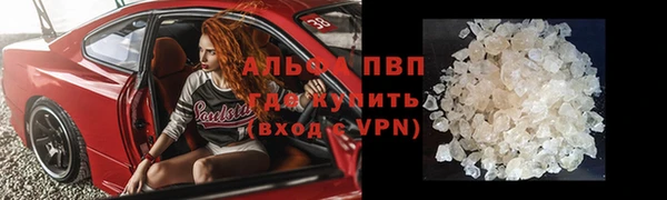 сатива Нягань