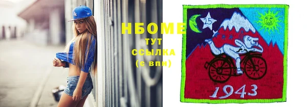 шишки Няндома