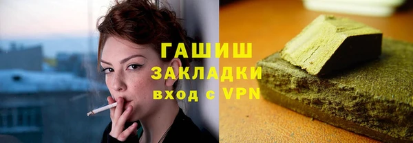 шишки Няндома