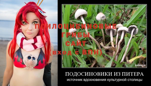 бошки Новодвинск