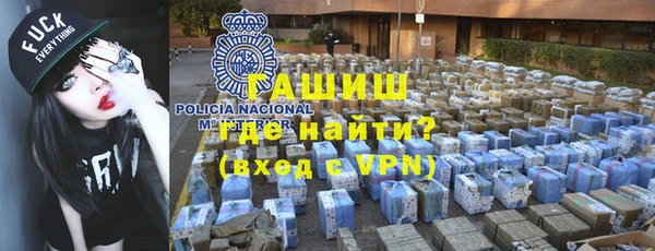 сатива Новозыбков