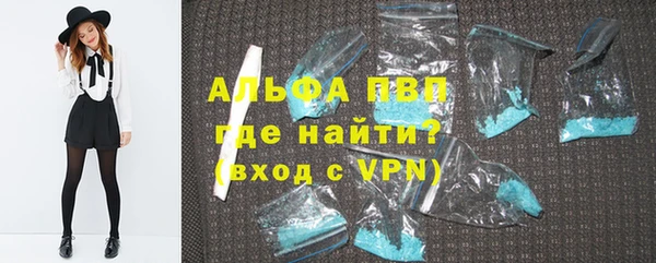 шишки Няндома
