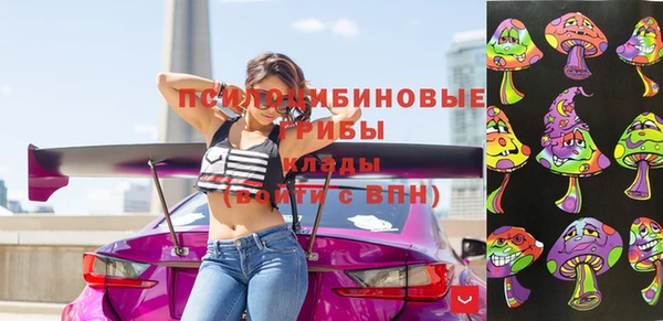 шишки Няндома