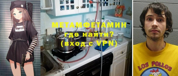 шишки Няндома