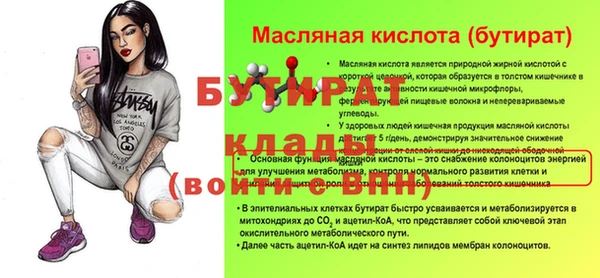 шишки Няндома