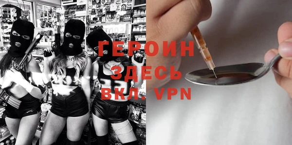 шишки Няндома