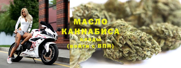 шишки Няндома