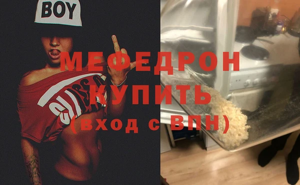 шишки Няндома