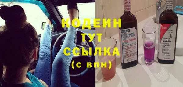 шишки Няндома