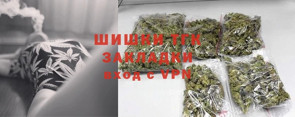 шишки Няндома