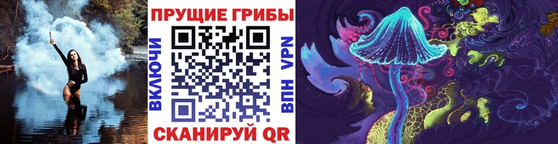 Псилоцибиновые грибы Psilocybe  ссылка на мегу сайт  Ладушкин 